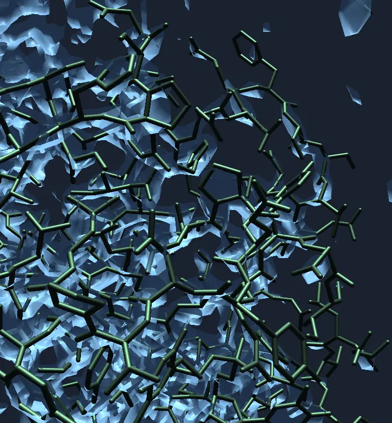A screenshot of Mold showing part of protein 2W42 with a semi-transparent contour display of the experimental electron density